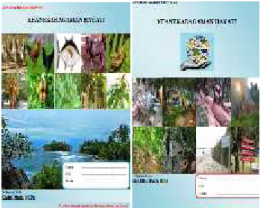 Gambar 2. Cover LKS
