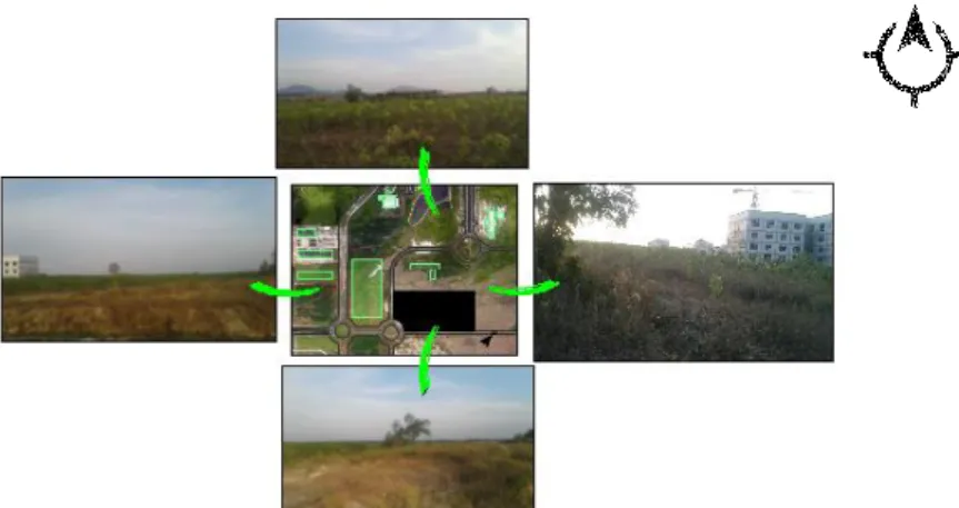 Gambar 3.7 Vegetasi pada lahan 
