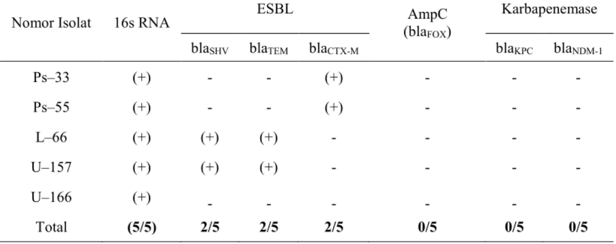Tabel 3. Hasil PCR dengan primer 16s RNA, bla SHV , bla TEM , dan bla CTX-M , bla FOX ,  bla KPC   dan  bla NDM-1   pada  Isolat  Klinis  Multi-resistensi  K