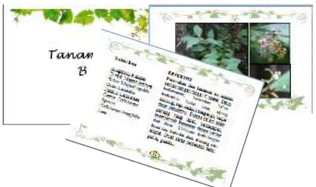 Gambar  1.  Buku  saku  tanaman  hias  potensi  Gunung  Sari  Singkawang  (Dokumentasi Pribadi) 