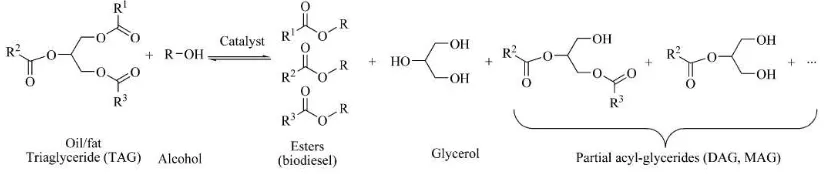 Figure 1.1: Chemical Reaction in Producing Biodiesel 