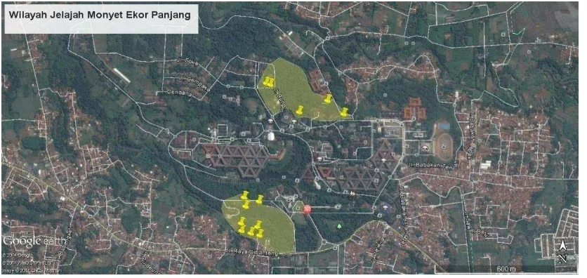 Gambar 1. Wilayah Jelajah Monyet Ekor Panjang di Kampus IPB Darmaga dan Titik- Titik Gangguan 