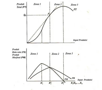 Gambar 5. Fungsi produksi dan zonasi (Colman dan Young, 1989) 