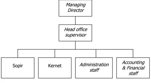 Gambar 4.10  Struktur organisasi divisi tronton atau divisi darat Managing Director Sopir Kernet Head office supervisor Accounting &amp; Financial staff Administration staff 