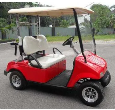 Figure 1.3: Electric Buggy (Golf Cart) 