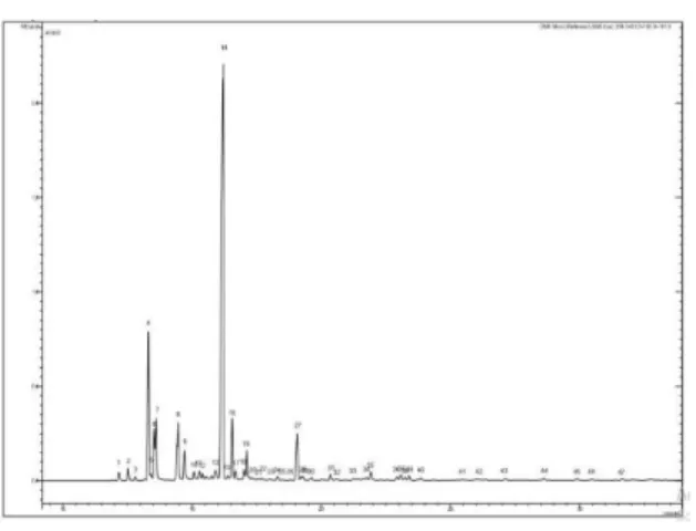 Gambar 2 hasil analisis GC-MS DMK D  dengan pelarut kloroform 