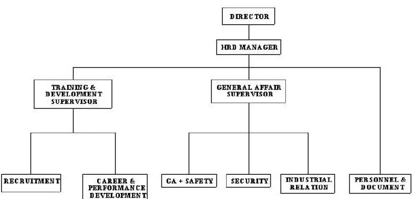 Gambar 2.5 Struktur Organisasi Human Resources Development  (Management PT Santoso Teknindo) 