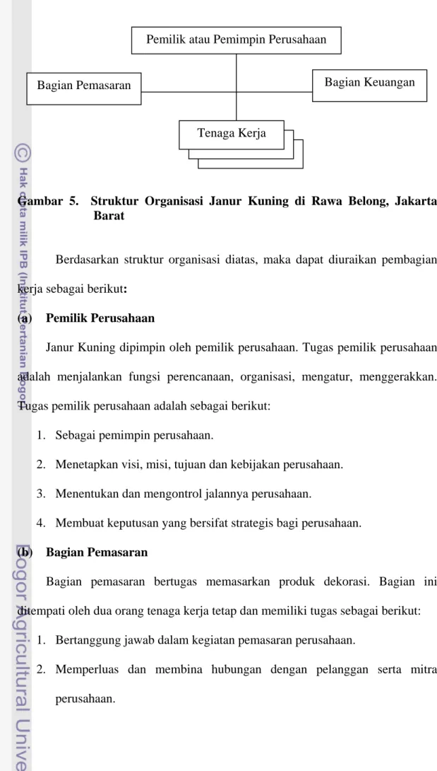 Gambar 5.  Struktur Organisasi Janur Kuning di Rawa Belong, Jakarta  Barat 