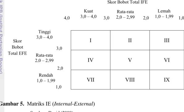 Gambar 5.  Matriks IE (Internal-External) 