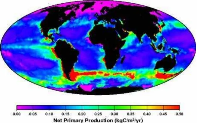 Gambar 8.  Salah satu citra satelit yang menggambarkan distribusi fitoplankton                       di laut (Sumber: www.cnrsfr/presse/communique/564.htm )  