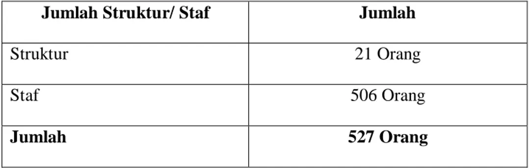 Tabel 2.3 Jumlah Pegawai Berdasarkan Jumlah Struktur atau Staf  Jumlah Struktur/ Staf  Jumlah 