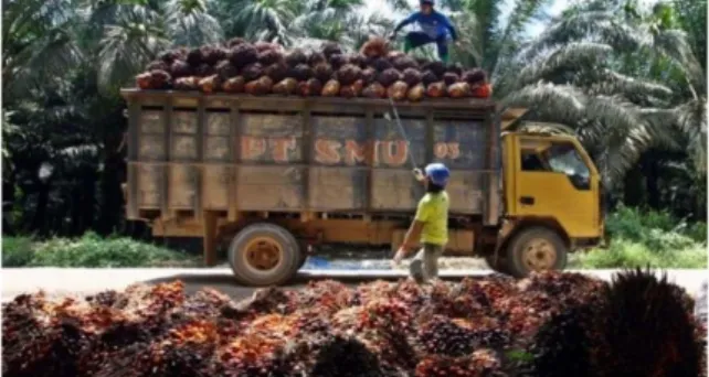 Gambar 2.1. Truk Biasa 