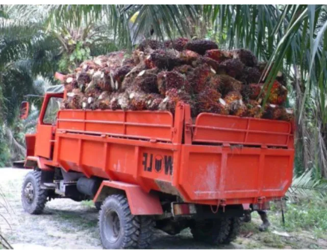 Gambar 2.2. Dump Truk  3. Wheel Tractor 