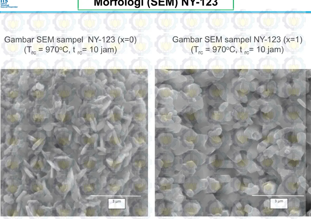 Gambar SEM sampel NY-123 (x=0)  (T rc = 970 o C, t  rc = 10 jam) 
