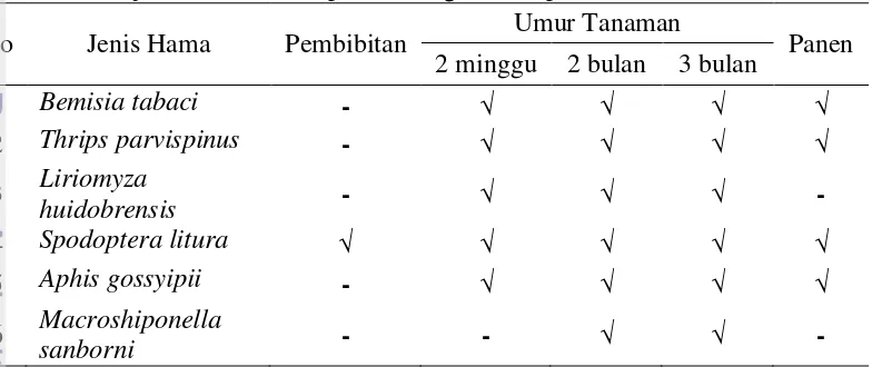 Tabel 4  Jenis-jenis hama krisan pada berbagai umur pertanaman 