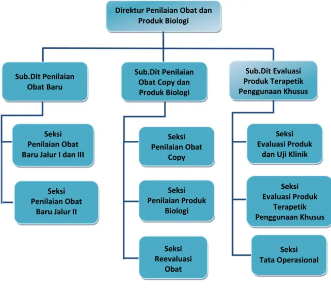 Gambar 1. Struktur Organisasi Direktorat Penilaian Obat dan Produk Biologi 
