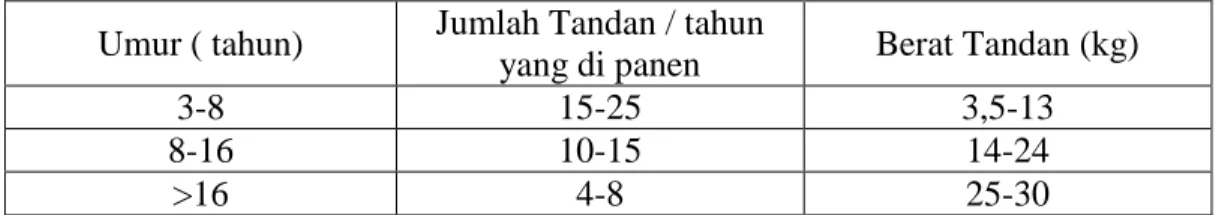 Tabel 4. Perkembangan Jumlah dan Berat Tandan Kelapa Sawit. 