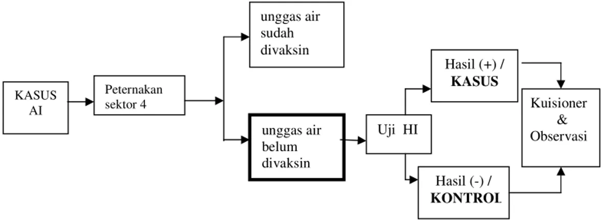 Tabel  2      Prevalensi serologis AI pada unggas air di Kabupaten Bogor dan  Sukabumi (Laporan akhir FKH IPB dan Deptan RI 2006)