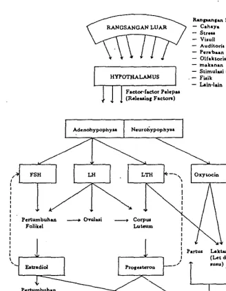 Gambar 4. Diagram ｓｫ･ｾ｡ｴｩｫ＠produksi 