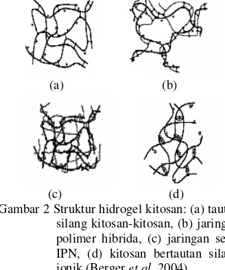 Gambar 2 Struktur hidrogel kitosan: (a) tautan 