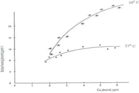 Grafik  2.   Hubungan  antara  bobot  kering  jerami  dan  Cu  jerami  tanaman  gandum  yang  ditanam  pada  dua  suhu   percobaan selama 6 minggu