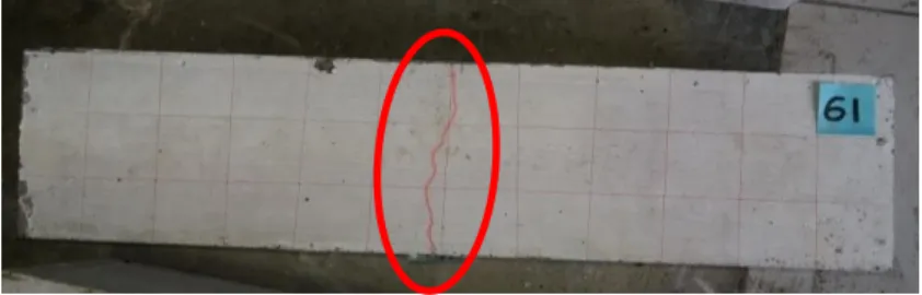 Gambar 5.7 Pengamatan 7 Hari 