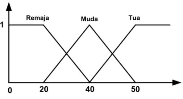 Gambar 2.4 : Fungsi keanggotaan kelompok umur  Sumber : Russel (2002) 