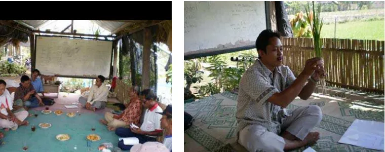 Gambar 3. Foto kegiatan penyuluhan IPAT-BO di Kelompok Tani Tlogo, Tamantirto 