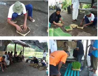 Gambar 5. Foto kegiatan pelatihan pembibitan di KT Tlogo, Tamantirto 