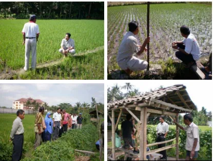 Gambar 10. Foto kegiatan pendampingan petani di wilayah Tlogo, Tamantirto 