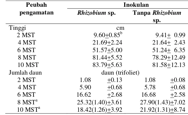 Tabel 6  Pengaruh inokulasi Rhizobium                     jumlah daun sp. terhadap tinggi tanaman dan  