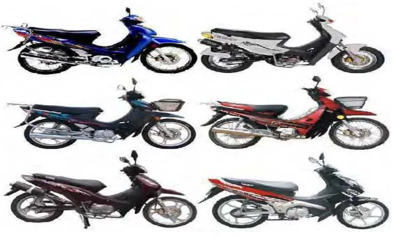 Figure 2.2: Variety of moped motorcycle 