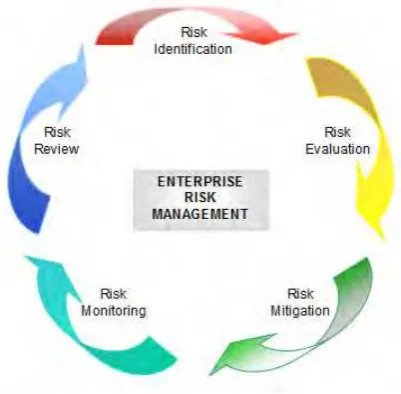 Figure 2.1: Risk Management Process (Source: British American Tobacco, Malaysia, 