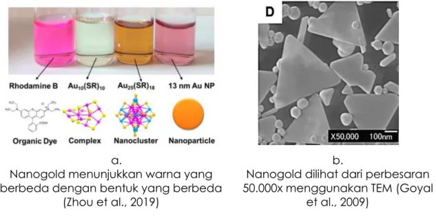 Gambar 9. Nanogold berbagai bentuk dan ukuran. 