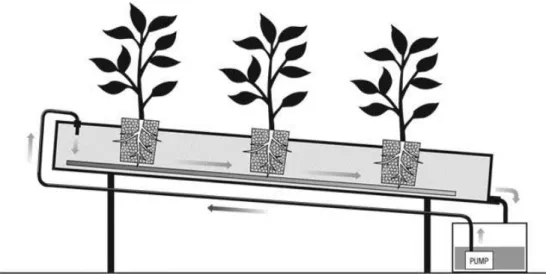 Gambar 2. Jaringan Hidroponik NFT 