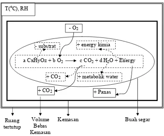 Gambar 2. Model fisik proses respirasi sistem atmosfir termodifikasi dalam ruang 