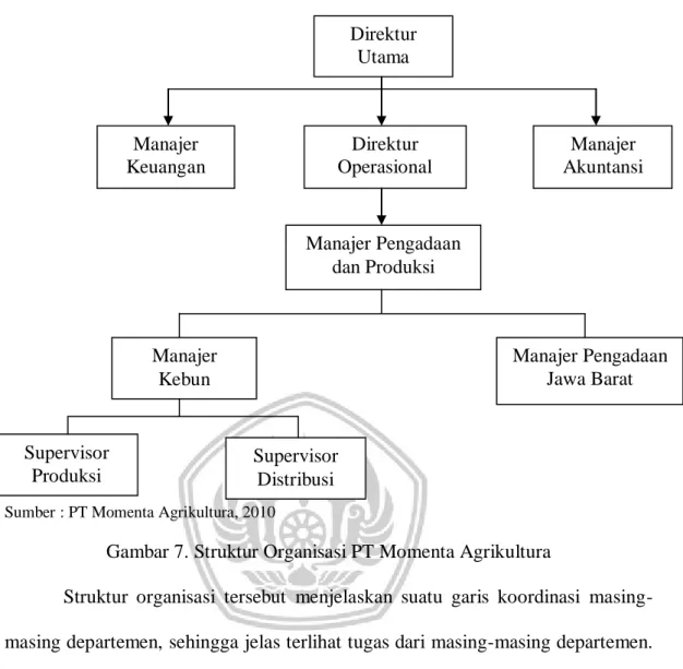 Gambar 7. Struktur Organisasi PT Momenta Agrikultura 