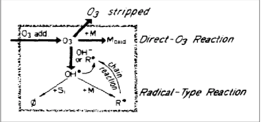 Gambar II.2.  Skema reaksi ozon dalam larutan (Hoigne at all., 1983). 