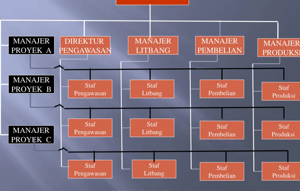 Gambar 9.3. Organisasi Matriks 