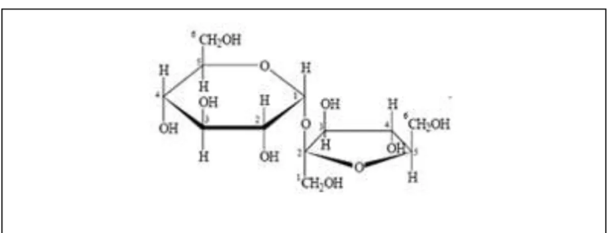Gambar 2. Struktur Molekul Sukrosa 