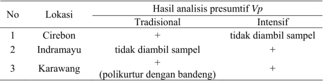 Tabel 8.  Hasil analisis presumtif V. parahaemolyticus dari udang vaname yang  diambil dari 3 lokasi survei 