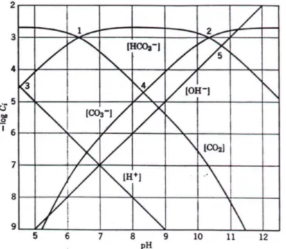 Gambar 6. 2 Pengaruh pH terhadap kesetimbangan sistem karbonat  (diambil dari Fair et al, 1981) 