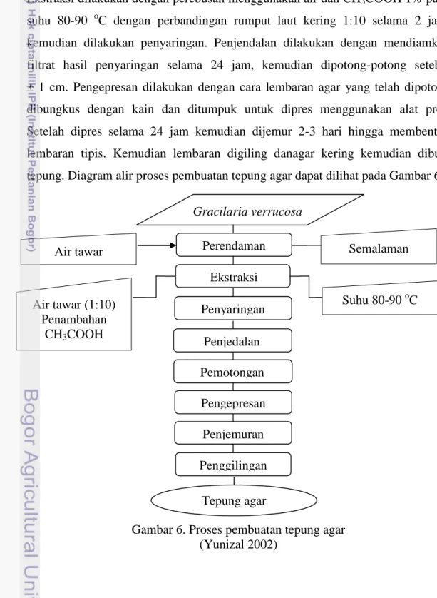 Gambar 6. Proses pembuatan tepung agar  (Yunizal 2002)  Gracilaria verrucosa Perendaman Ekstraksi  Penyaringan Penjedalan Pemotongan Pengepresan Penjemuran Penggilingan Tepung agar  Semalaman  Suhu 80-90 o C Air tawar (1:10) Penambahan CH3COOH Air tawar 
