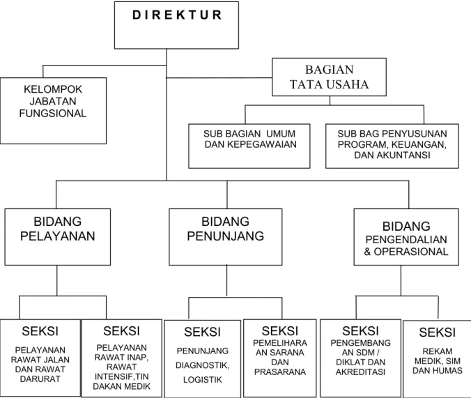 Gambar 2.1.  Bagan Struktur Organisasi Rumah Sakit Umum Daerah Kabupaten  Badung  (Perda Kabupaten Badung Nomor 7 Tahun 2008).