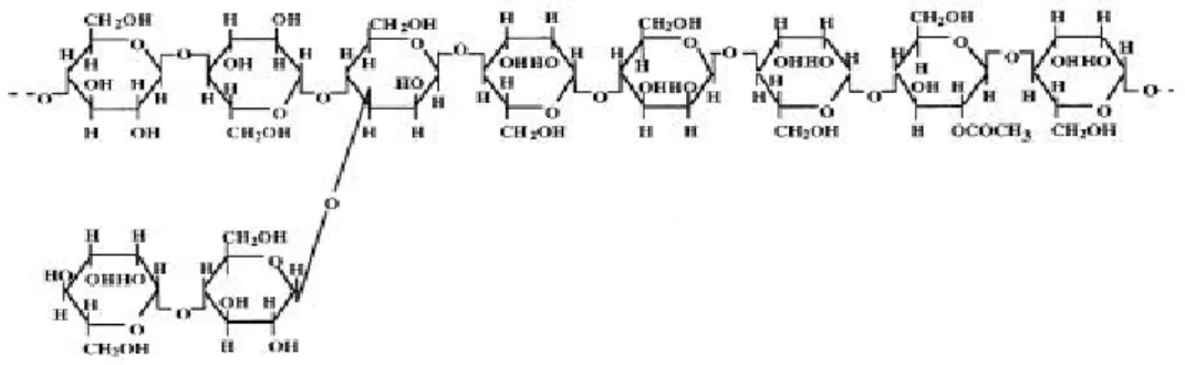 Gambar 1.  Struktur Kimia Glukomannan (Takigami, 2000)  Bahan dan Alat 