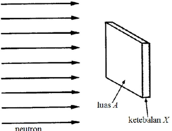 Gambar 1. Neutron Menumbuk Target (Lamars, 1961) 