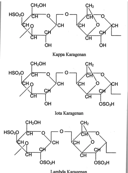 Gambar 2.1 Struktur Kappa, Iota dan Lamda Karagenan 