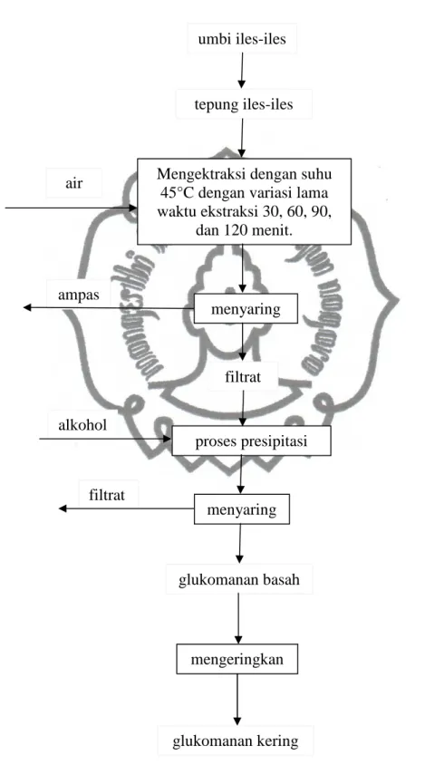 Diagram Alir Pemungutan Glukomanan dari Umbi Iles-iles 