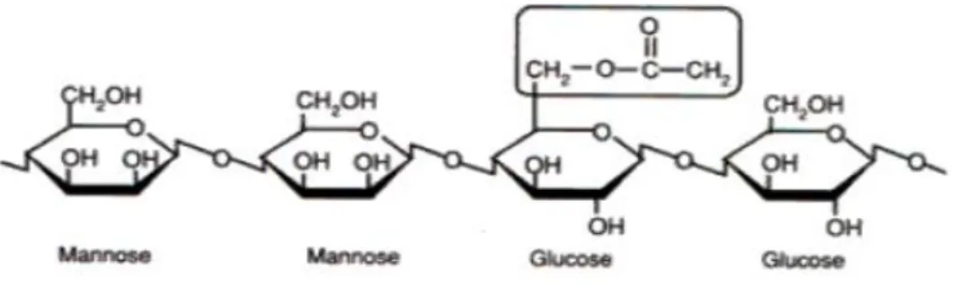 Gambar 2.1. Rumus Kimia  Glukomanan 