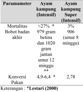 Tabel 2. Perbandingan Performa Produksi  antara  Ayam  Kampung  Lokal  dan Ayam Kampung Super  Paramameter  Ayam  kampung  (Intensif)  Ayam  kampung Super  (Intensif)  Mortalitas  <27%  *   3%  Bobot badan  akhir  979 gram  betina  dan 1020  gram  janta